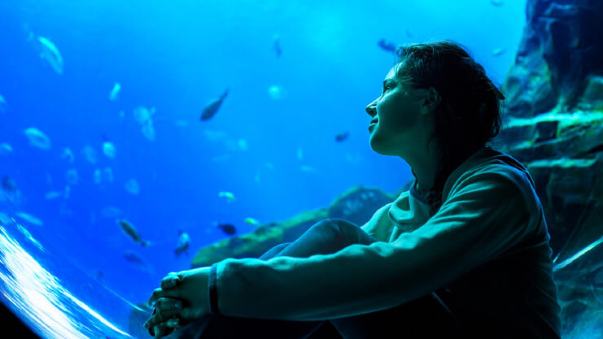 Being-a-scuba-diver-820x471