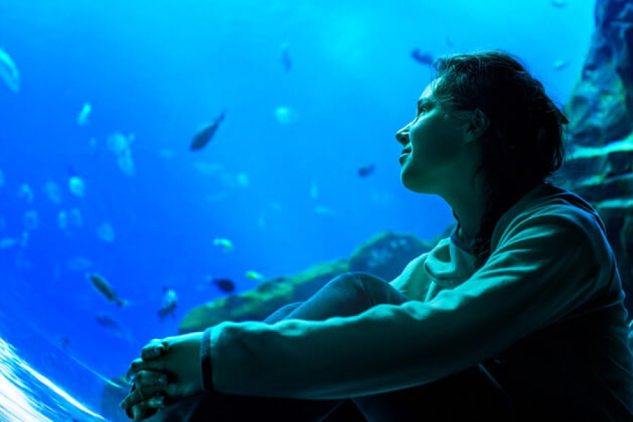 Being-a-scuba-diver-820x471