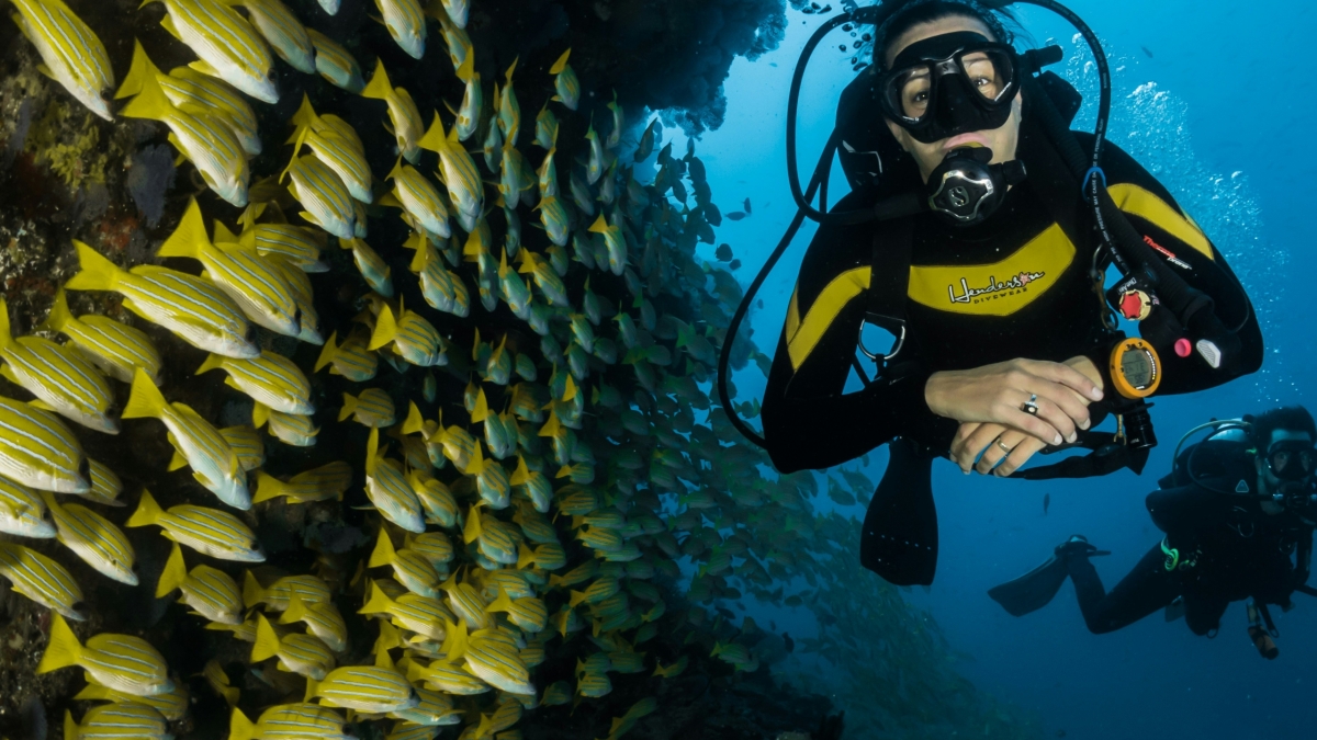 sebastian-pena-lambarri-7i5HMCGupVw-unsplash